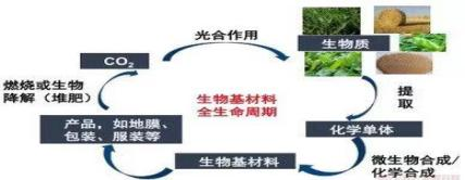 生物基材料前景廣闊